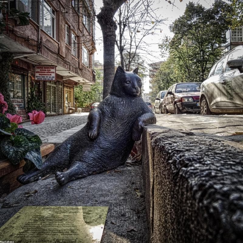 Cressi F1 Frameless Mask